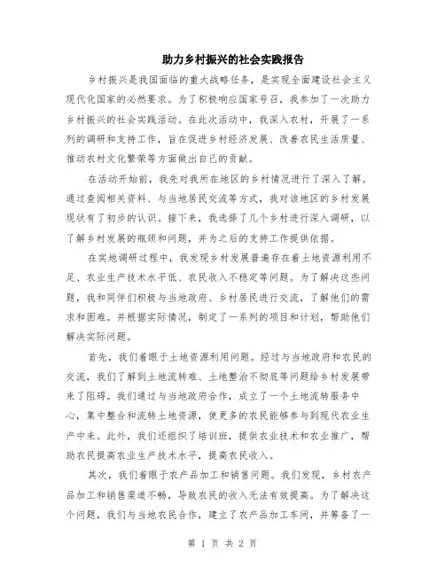 助力乡村振兴的社会实践报告