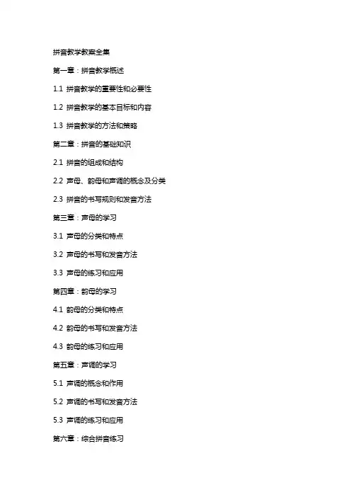 拼音教学教案全集