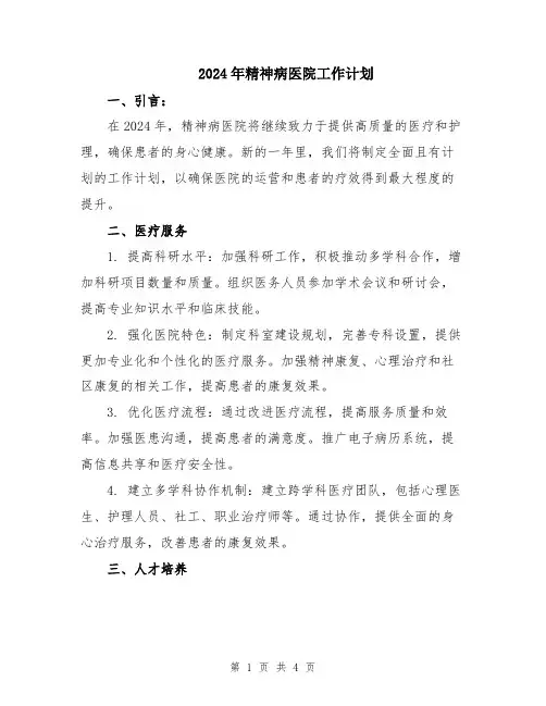 2024年精神病医院工作计划