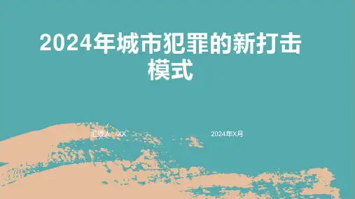 2024年城市犯罪的新打击模式1