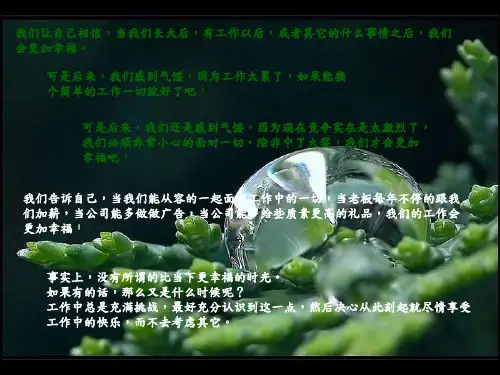 工作的价值ppt课件