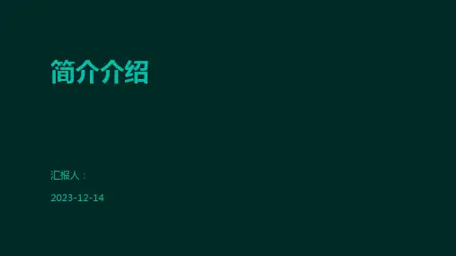 简介介绍-精品文档