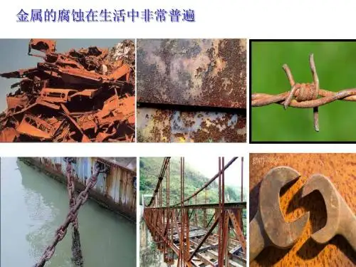 新人教版化学选修4第四章第四节《金属的电化学腐蚀和防护》