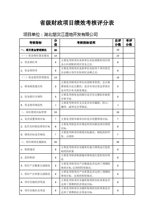 省级财政项目绩效考核评分表【最新范本模板】