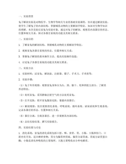 兔子解剖实验报告讨论