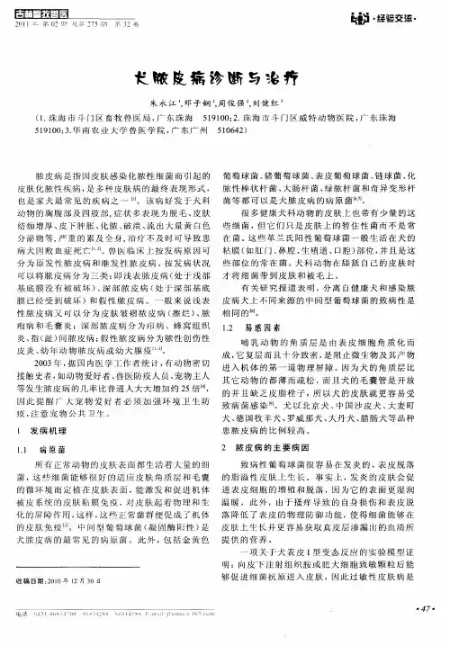 犬脓皮病诊断与治疗