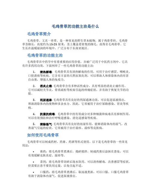 毛鸡骨草的功能主治是什么