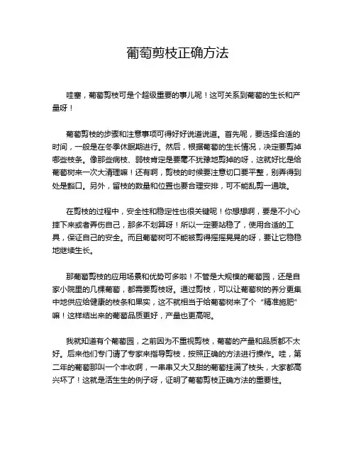 葡萄剪枝正确方法