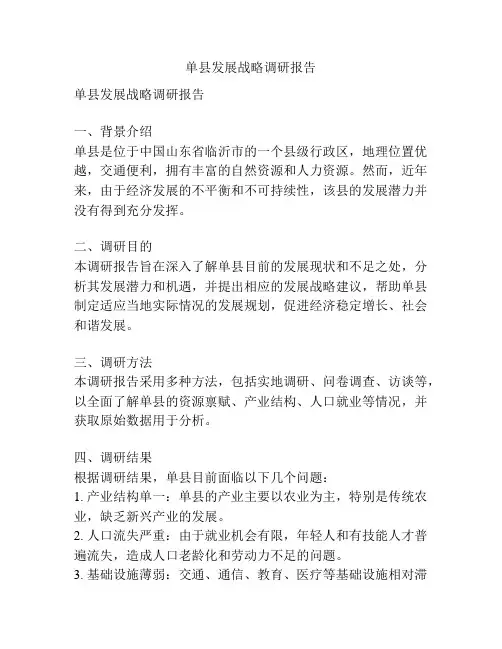 单县发展战略调研报告