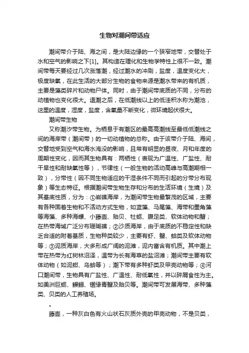 生物对潮间带适应