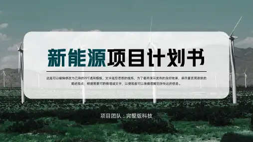 新能源项目计划书PPT(完整版)