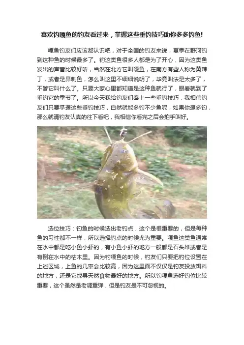 喜欢钓嘎鱼的钓友看过来，掌握这些垂钓技巧助你多多钓鱼!