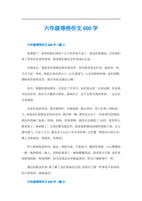 六年级等待作文600字