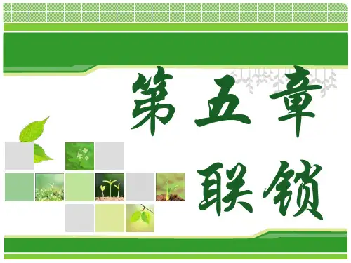 《城市轨道交通信号基础》教学课件—05联锁