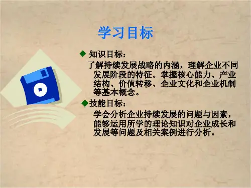 企业快速发展阶段以及持续快速发展ppt课件