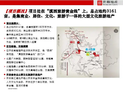 彝人古镇专题研究_严兰丽案例实例