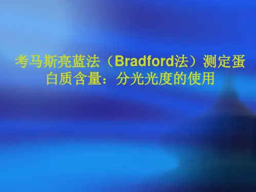 考马斯亮蓝法(Bradford法)测定蛋白质含量：分光光度的使用