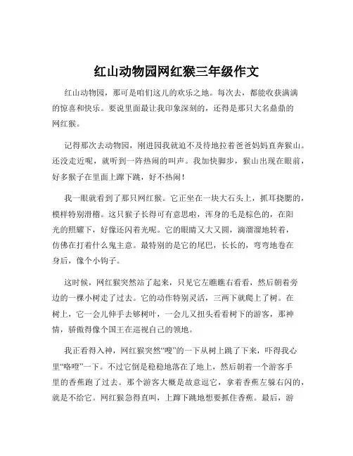 红山动物园网红猴三年级作文