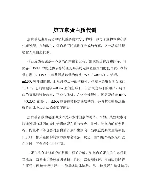 第五章蛋白质代谢