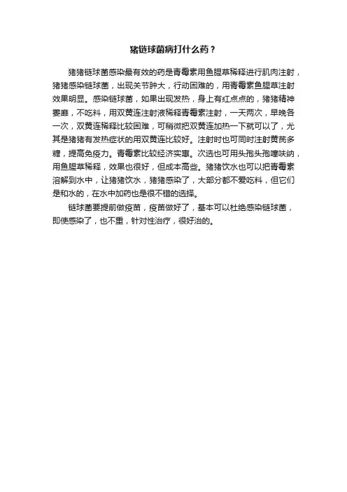 猪链球菌病打什么药？