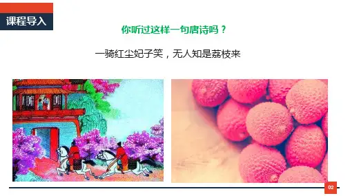 《农产品物流》课件——任务一  农产品物流基础