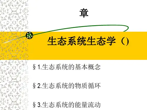 生态系统的基本概念.pptx