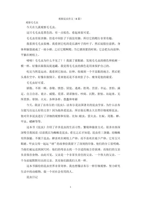 观察昆虫作文(6篇)
