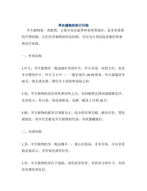 早生植物的形态结构