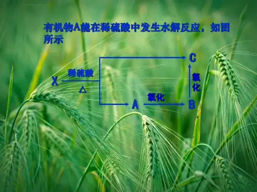 重要有机物之间的相互转化课件苏教版选修5课件ppt.ppt