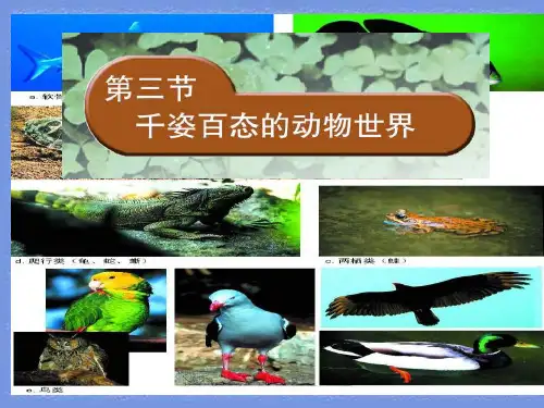 2023秋八上第二节《千姿百态的动物世界》ppt1