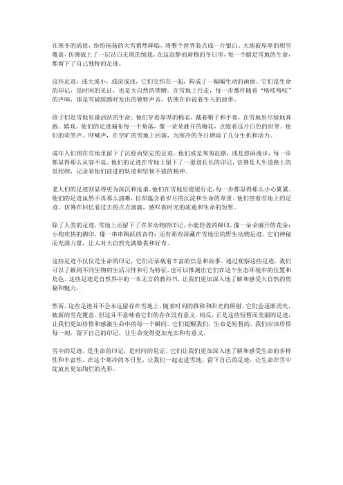 雪中的足迹：留下生命的印记