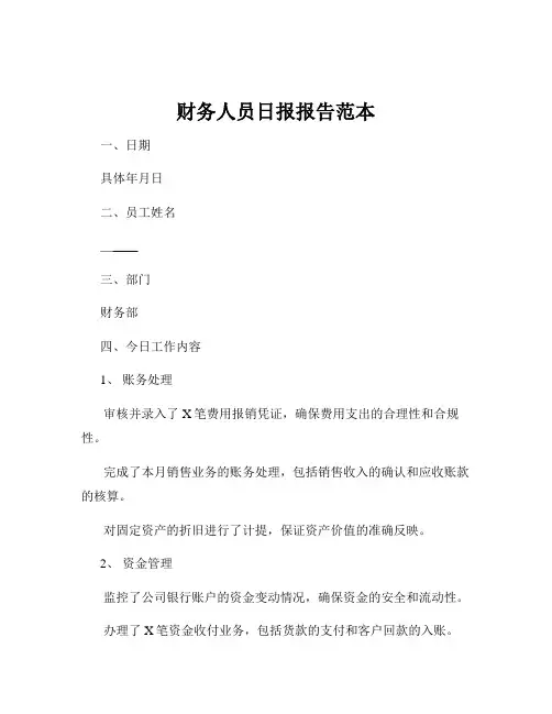 财务人员日报报告范本