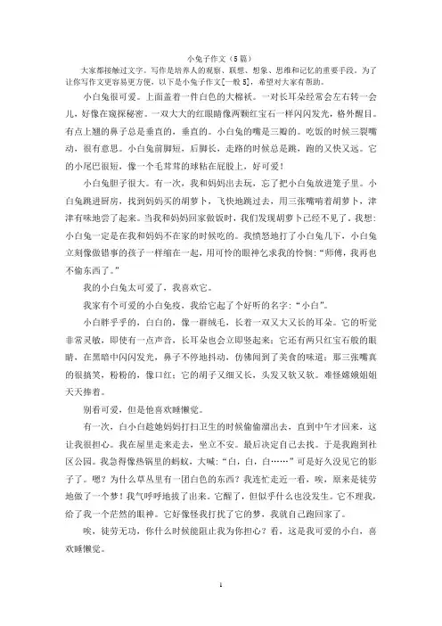小兔子作文(5篇)