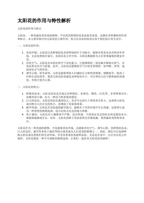 太阳花的作用与特性解析