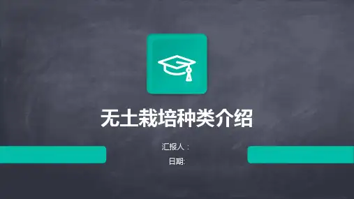 无土栽培种类介绍