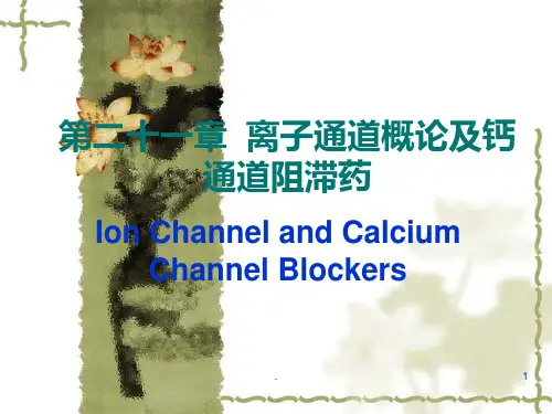 第21章--离子通道概论及钙通道阻滞药PPT课件