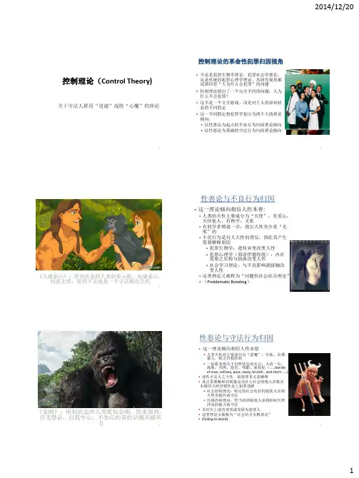 控制理论(Control Theory)