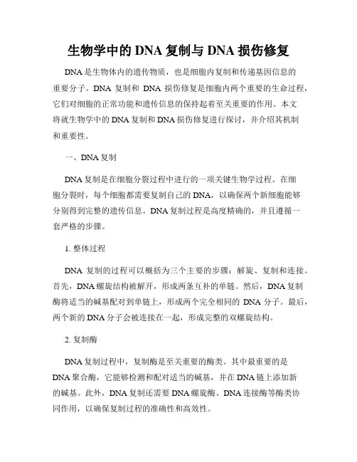生物学中的DNA复制与DNA损伤修复