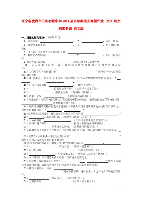 辽宁省凌海市石山初级中学九年级语文寒假作业(28)诗文积累专题(无答案) 语文版