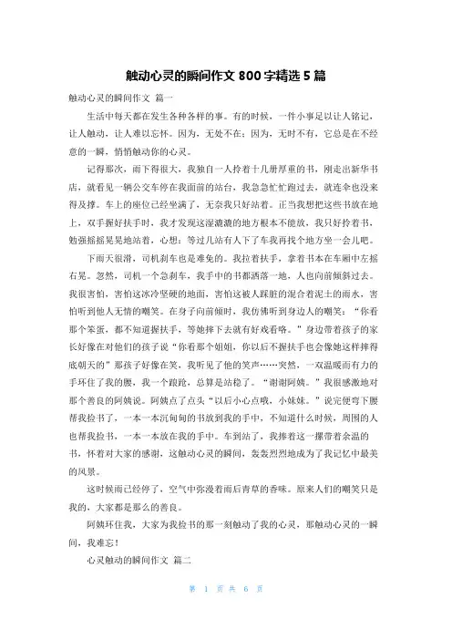 触动心灵的瞬间作文800字精选5篇