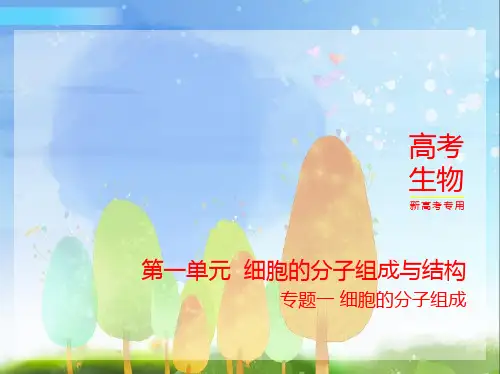 2024年新高考版生物1_01-专题一 细胞的分子组成