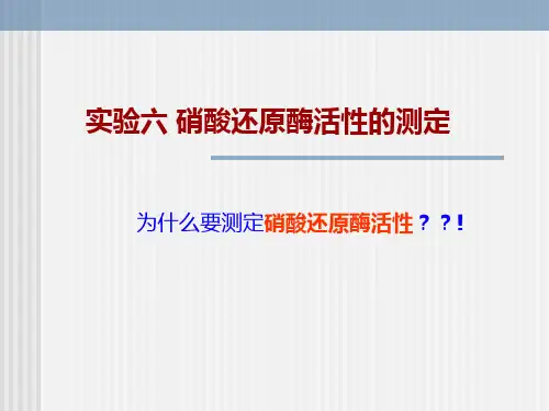硝酸还原酶活力测定