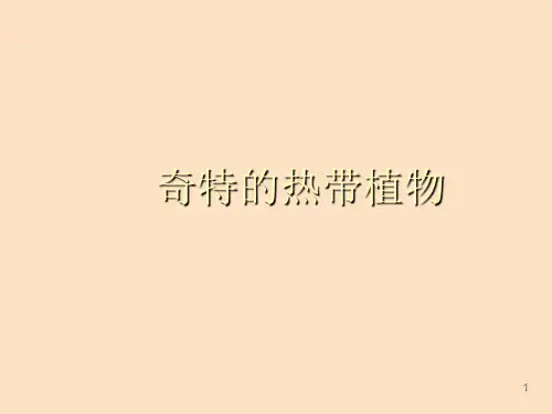 岭南版小学三年级美术上册奇特的热带植物