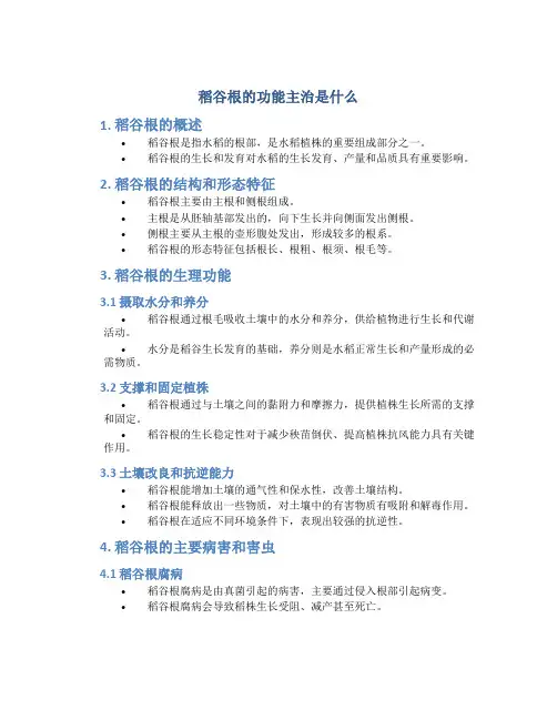 稻谷根的功能主治是什么