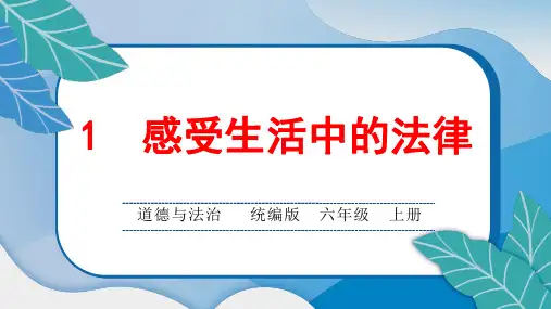 统编版小学六年级道德与法治上册1 感受生活中的法律课堂综合练习题附答案