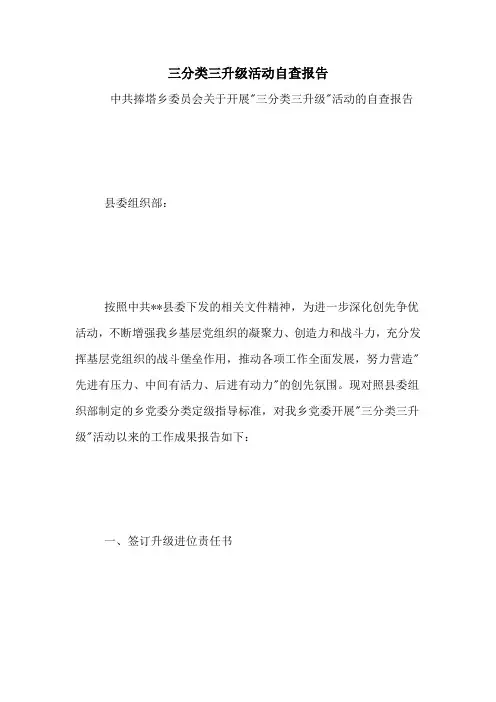 2021年三分类三升级活动自查报告