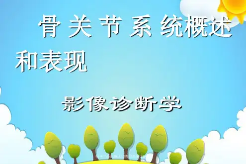 骨关节系统概述与表现影像诊断学