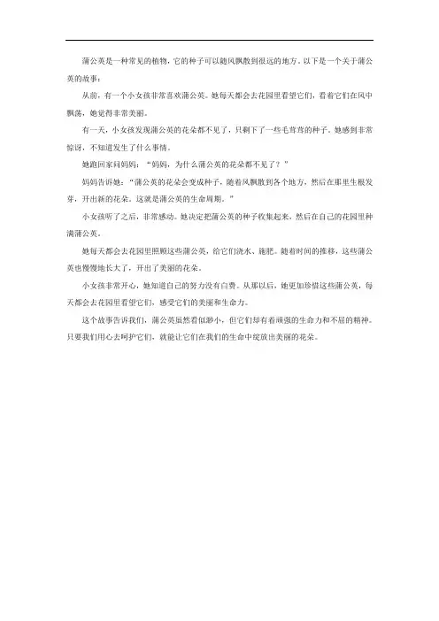 蒲公英故事