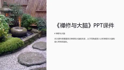 《禅修与大脑》课件