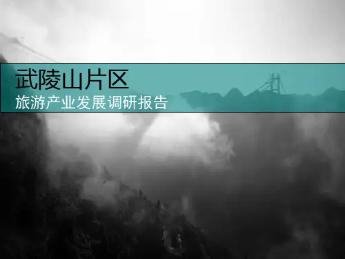 武陵山片区旅游产业调查报告